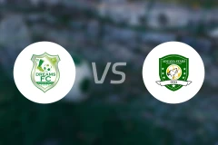 加纳梦想FCvs阿杜亚纳比分预测【2026/03/01】