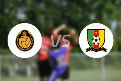 莫桑比克vs喀麦隆比分预测【2026/01/01】