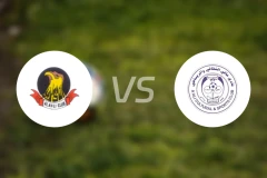 麦纳麦国民vs阿里比分预测【2026/02/13】