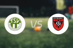 纽德罗森菲尔德vsASV纽马克特比分预测【2025/11/29】