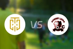 开普敦城vs饿狮比分预测【2026/04/18】