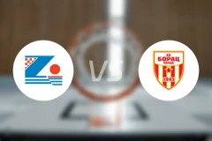 扎达尔vs布拉卡比分预测【2026/02/13】