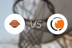 乌普萨拉vs诺科平海豚比分预测【2026/01/28】