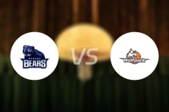 巴根熊vs哥本哈根狼队比分预测【2025/11/23】