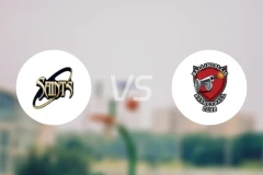 圣文森都柏林vs巴林科里格比分预测【2026/01/11】