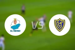 特雷维索vs科内利亚诺比分预测【2026/04/12】