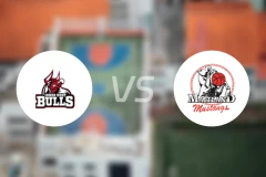 内西公牛vs梅特兰野马比分预测【2026/04/12】