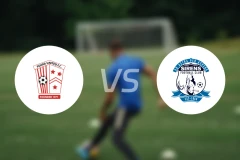 费古拉vs塞壬比分预测【2026/02/02】