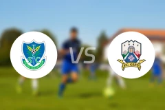 枥木SCvsFC岐阜比分预测【2025/11/02】