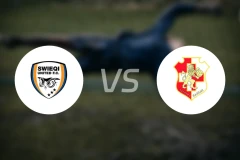 斯维吉联vs纳沙尔狮队比分预测【2026/01/28】