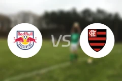 布拉干蒂诺RB青年队vs弗拉门戈青年队比分预测【2024/08/15】
