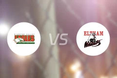 钻石谷鹰vs埃尔特姆野猫比分预测【2026/03/28】