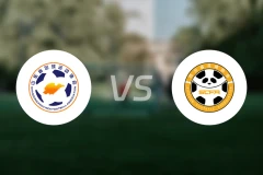 山东U18vs四川U18录像回放【2024/11/25】
