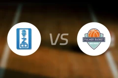 萨莫拉vs帕尔默比分预测【2025/11/02】