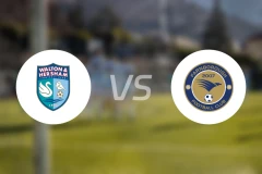 沃尔顿赫瑟姆vs法恩堡比分预测【2025/11/15】