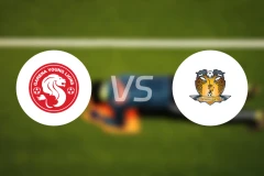 幼狮队vs后港联队比分预测【2026/03/14】