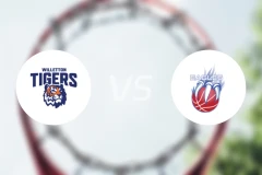 威尔莱顿老虎vs东珀斯老鹰比分预测【2026/03/28】