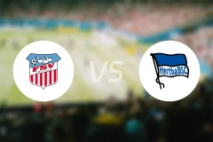 茨维考FCvs柏林赫塔二队比分预测【2026/02/14】