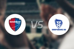 桑德菲杰vs萨普斯堡比分预测【2026/03/23】