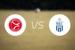 阿梅尔城青年队vs皇家哈勒姆比分预测【2026/03/28】