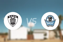 泛塞萨洛尼基vs昂维厄比分预测【2025/11/13】