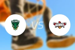 塔斯马尼亚跳伞蚁vs伊拉瓦拉老鹰比分预测【2026/01/24】