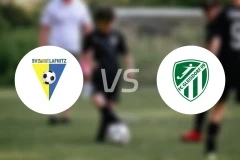 拉夫尼茨vs格来斯多夫比分预测【2026/04/11】