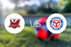 飞鸟FCvs丸安冈崎比分预测【2025/11/15】