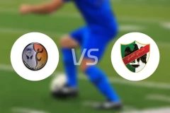 沙汉vs安曼阿赫利比分预测【2026/04/14】