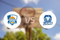 波鸿vsPS卡尔斯鲁厄比分预测【2025/12/14】