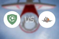 维耶vs哥本哈根狼队比分预测【2026/02/14】