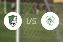 韦法克阿吉达比亚vs阿弗里基比分预测【2026/03/08】