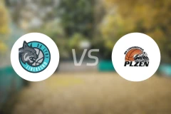 利贝雷茨山猫vs比尔森比分预测【2025/10/18】