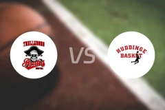 特雷勒堡vs哈丁格比分预测【2025/12/06】