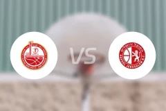 比尔舒华夏普尔vs耶路撒冷比分预测【2025/12/22】