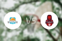 恩斯诺女篮vs萨拉戈萨女篮比分预测【2026/02/08】