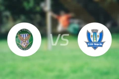 法尔卡塞斯蒂vs塔尔古久比分预测【2025/12/13】