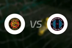 内湖公马vs马哈利卡比分预测【2026/02/15】