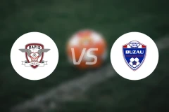 布加勒斯特快速vs哥利亚布沙比分结果战报【2024/12/17】