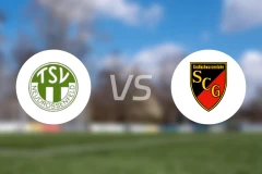 纽德罗森菲尔德vsSC格罗斯施瓦岑洛厄比分预测【2026/03/21】