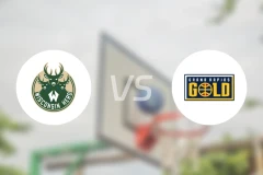 威斯康星牧群vs大急流城黄金比分预测【2025/12/28】