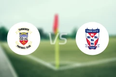 谭禾夫vs约克城比分结果战报【2024/12/14】