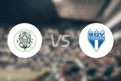 洪堡vs费堡格比分预测【2026/04/11】