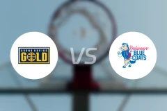 大急流城黄金vs特拉华蓝衫比分结果战报【2026/03/01】