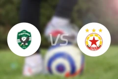 卢多格雷茨vs索非亚中央陆军比分预测【2026/03/14】