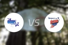 阿尔斯塔vs维尔特比分预测【2025/12/21】