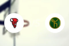 野牛vs洪卡比分预测【2025/11/22】