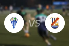 CD帕杜拉vs杜兰高比分预测【2024/10/19】