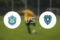 湘南丽海vs福冈黄蜂比分预测【2024/08/07】