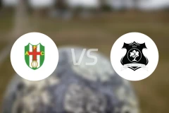 葡萄牙阿帕雷西达vs弗洛格拉德比分预测【2026/04/12】